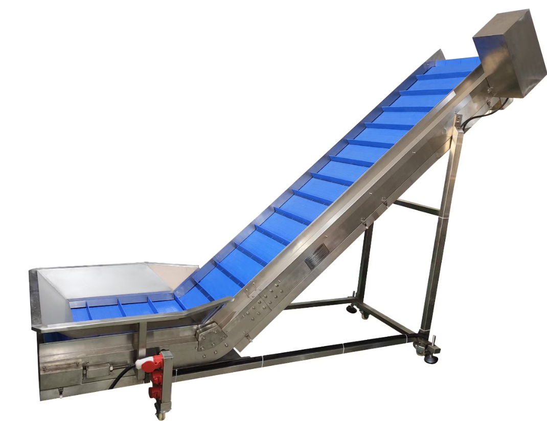 Infeed Belt Conveyor