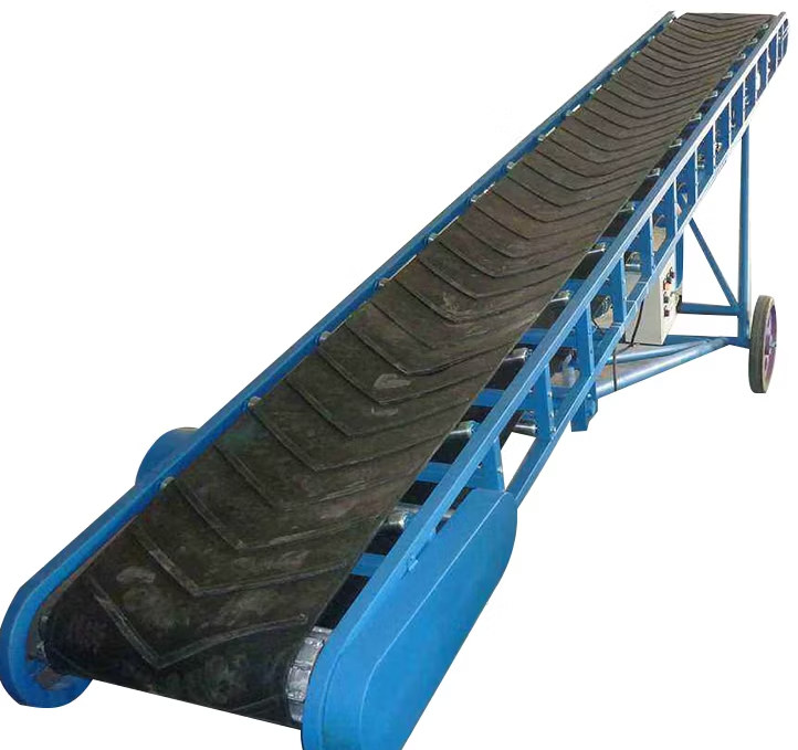 Belt Conveyor Soybeans