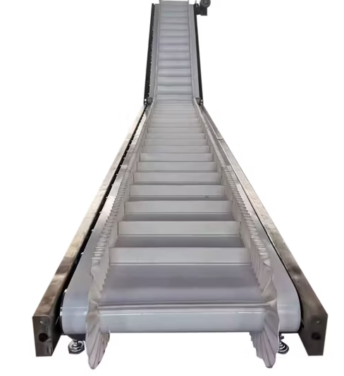 Belt Conveyor Seeds