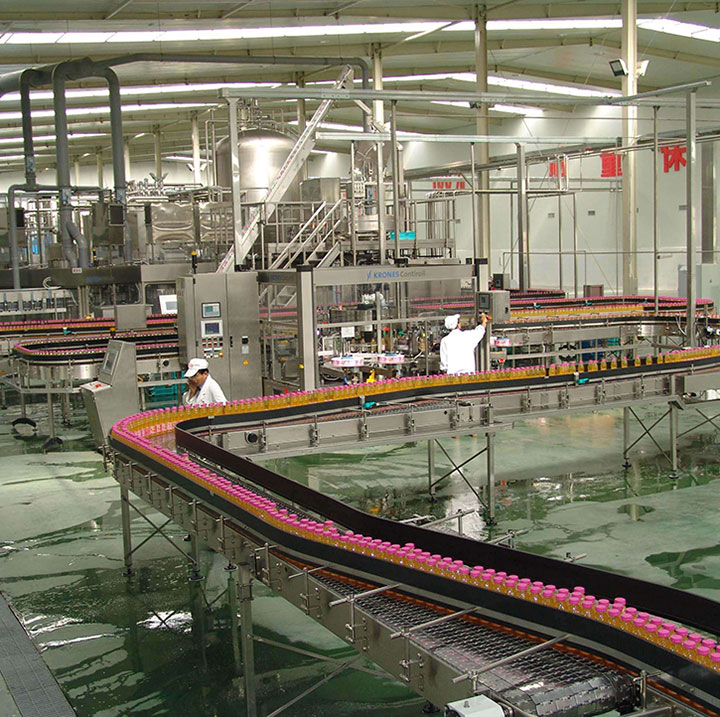 Roller Bed Belt Conveyor Operating in an Industrial Processing Plant for Manufacturing and Sorting